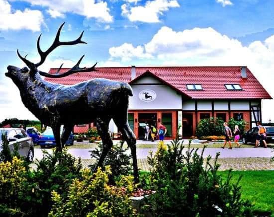 Pensjonat I Restauracja Hubertowka Milicz Exterior foto
